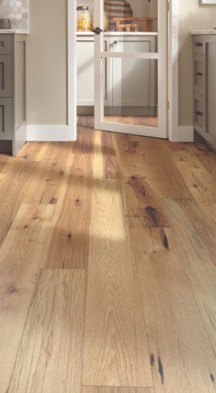 hardwood flooring in sunlit kitchen